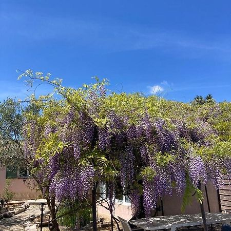Le Clos Des Olivettes Sainte-Croix-de-Quintillargues 外观 照片