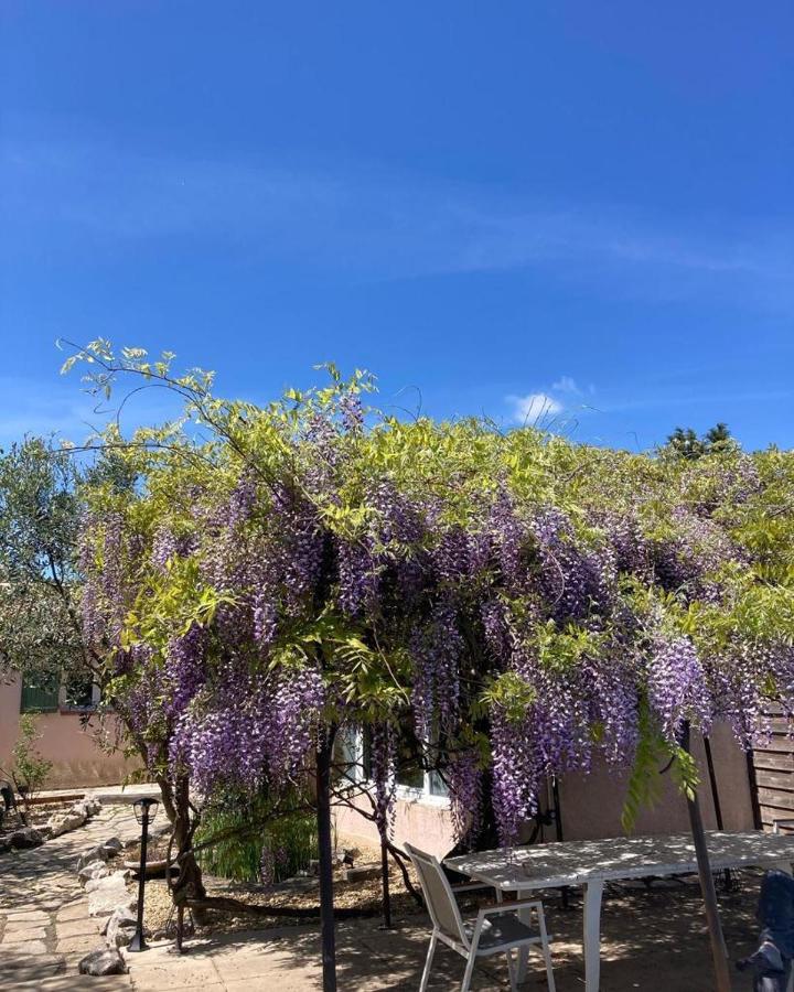 Le Clos Des Olivettes Sainte-Croix-de-Quintillargues 外观 照片