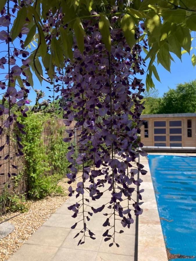 Le Clos Des Olivettes Sainte-Croix-de-Quintillargues 外观 照片